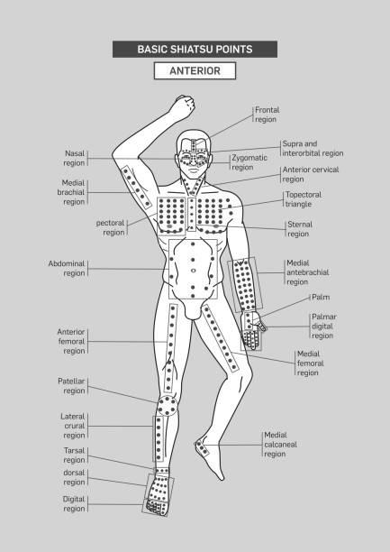 Reflexology Points on the body photo 0