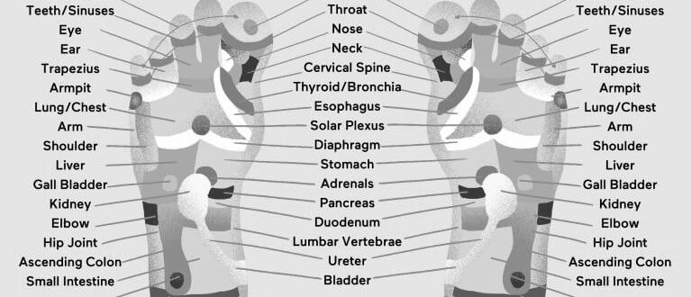 Sexual Reflexology image 0