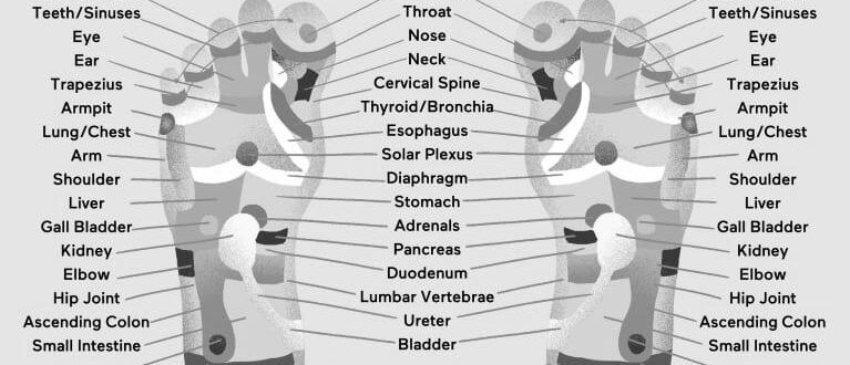 Sexual Reflexology image 0