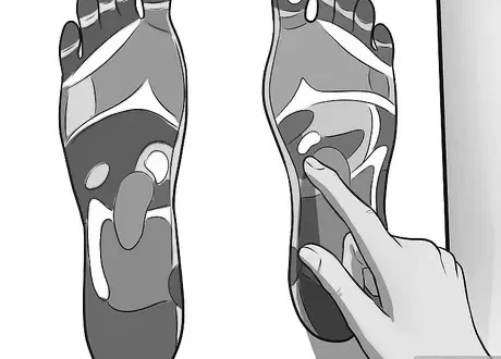 Reflexology for Weight Loss image 0