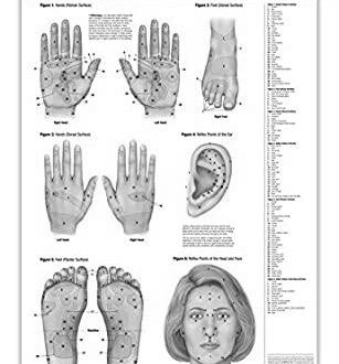 Reflexology meridian points photo 0