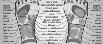 Reflexology for Swollen Glands photo 0